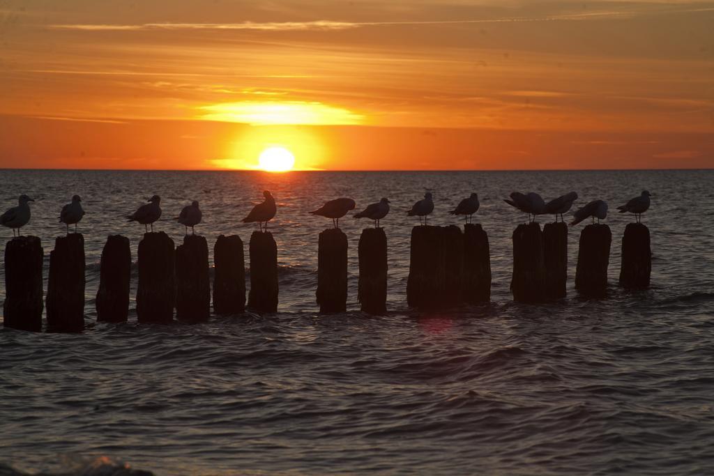 Portobello Ustka Bagian luar foto